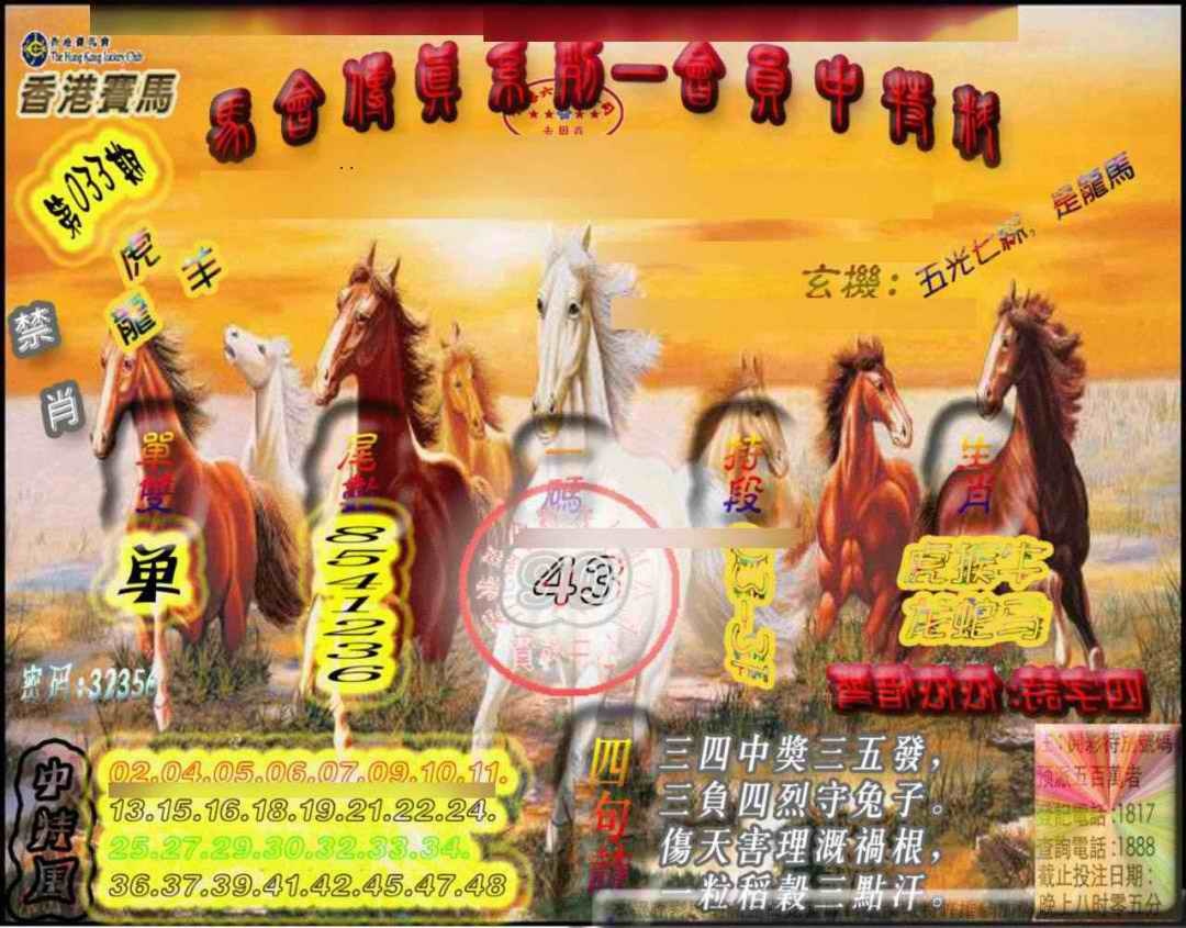 033期马会传真-会员报[图]